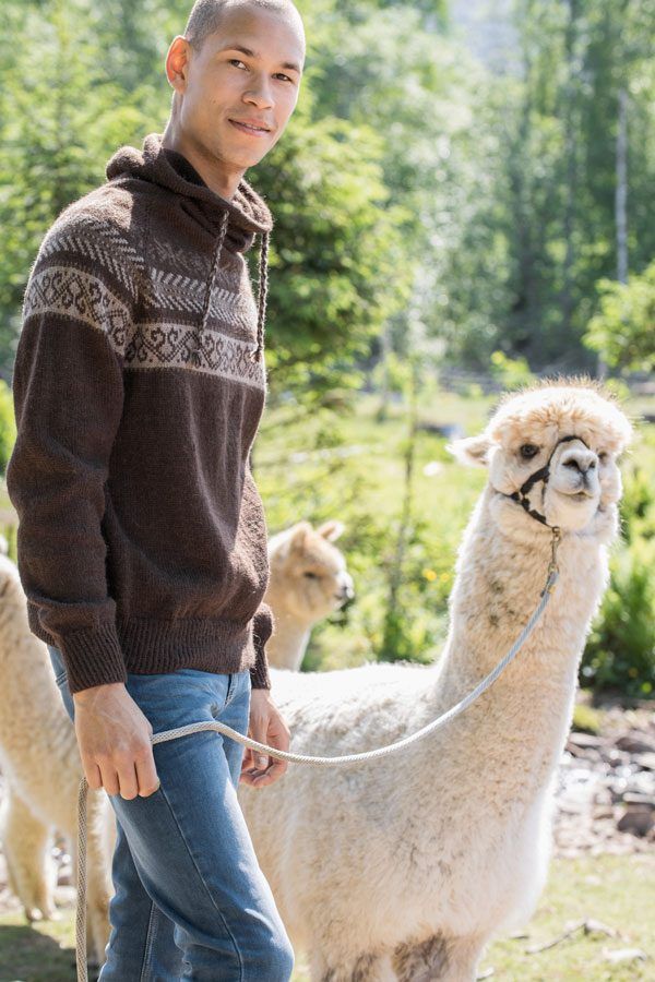 61-04 Miguel brun tröja